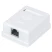 Cabcoil Настенная экранированная розетка RJ45 (8P8C), 1 порт, категория 5е, белая